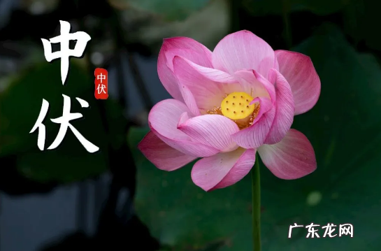 2022年几个中伏天