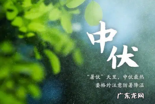 2022年几个中伏天