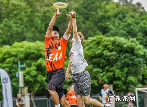 飞盘为什么突然火了