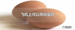 飞机上可以带鸡蛋吗