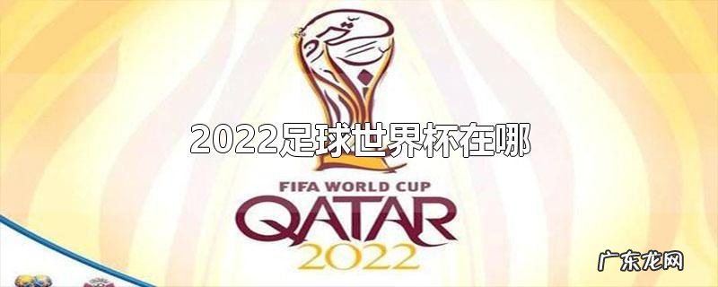 2022足球世界杯在哪