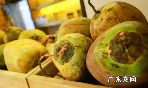 青椰子的椰子肉能吃吗