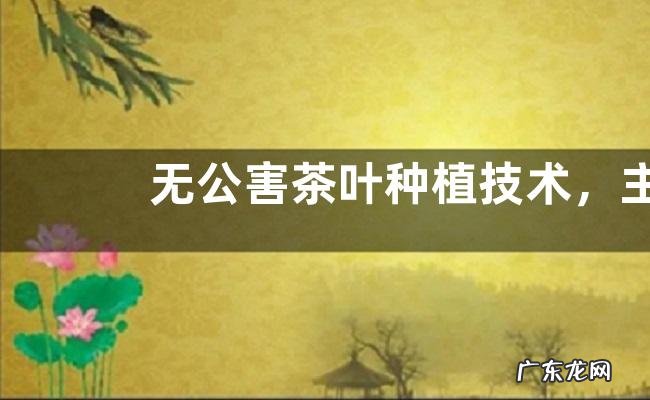 无公害茶叶种植技术,主要有以下五个方面