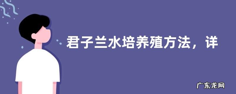 君子兰水培养殖方法,详细介绍