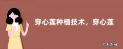穿心莲种植技术，穿心莲的病虫害防治