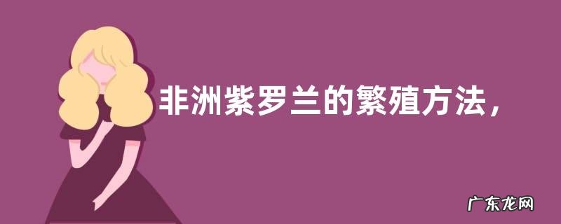 非洲紫罗兰的繁殖方法,详细介绍