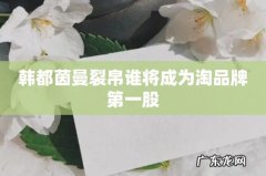 韩都茵曼裂帛谁将成为淘品牌第一股
