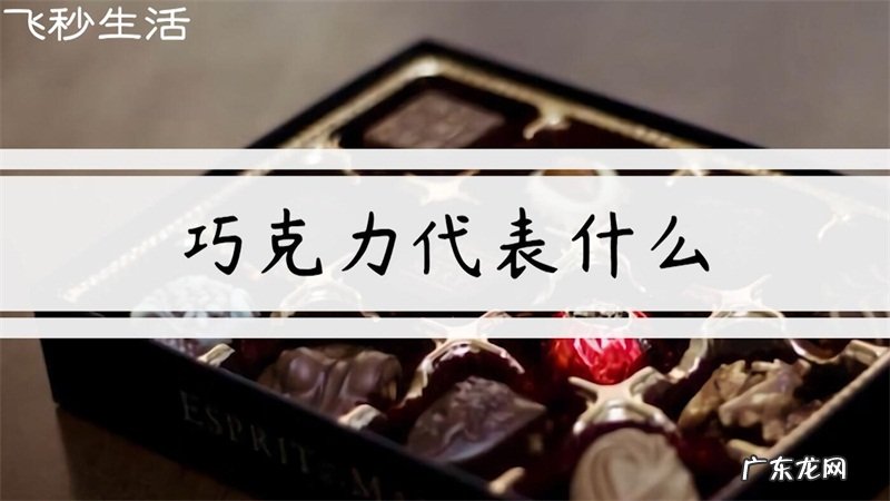 巧克力代表什么