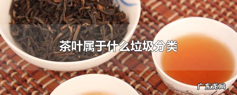 茶叶属于什么垃圾分类
