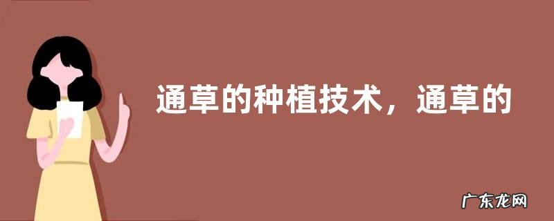 通草的种植技术,通草的生长习性