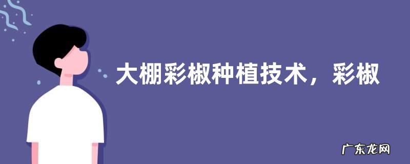 大棚彩椒种植技术,彩椒的品种选择