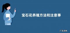 宝石花养殖方法和注意事项，附生长习性和繁殖方法