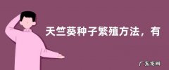 天竺葵种子繁殖方法，有以下三个方面