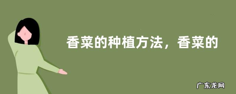 香菜的种植方法,香菜的病虫防治