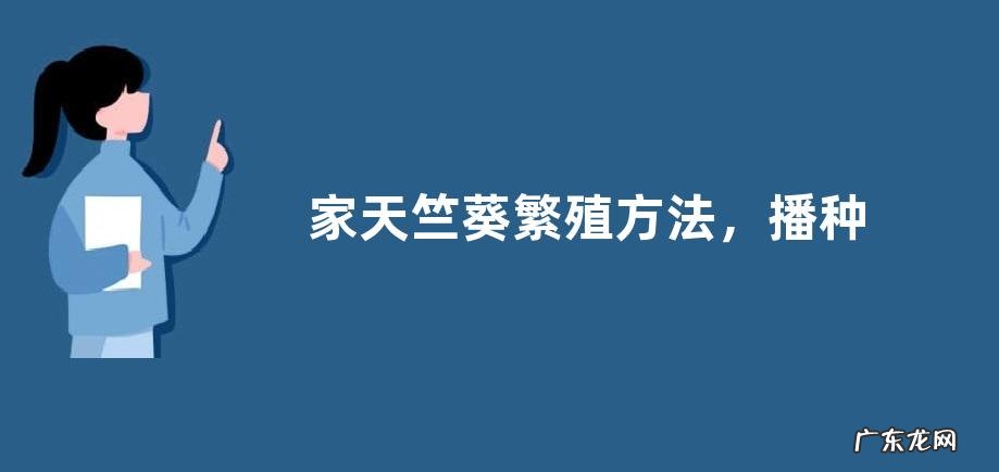 家天竺葵繁殖方法,播种繁殖、扦插繁殖和组织培养法繁殖