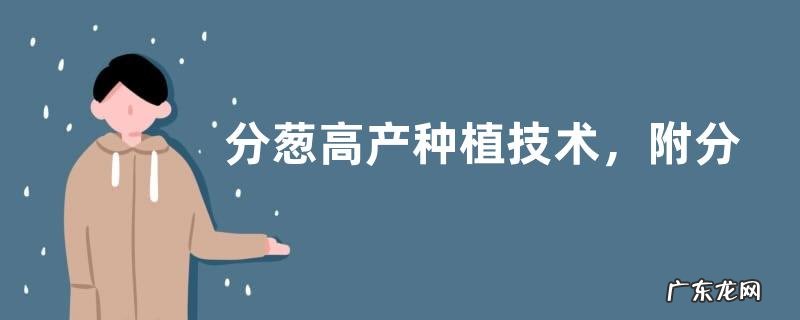 分葱高产种植技术，附分葱的生长习性及繁殖技术