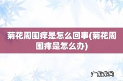 菊花周围痒是怎么办 菊花周围痒是怎么回事