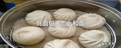 死面包子怎么和面