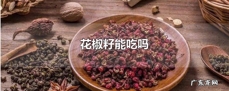花椒籽能吃吗