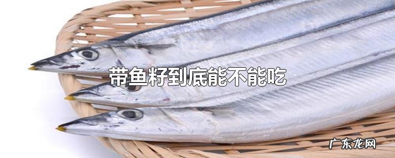 带鱼籽到底能不能吃