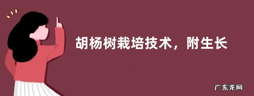 胡杨树栽培技术,附生长习性