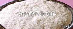酵母发面9个小时可以吗