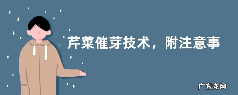 芹菜催芽技术,附注意事项