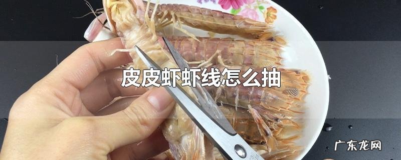 皮皮虾虾线怎么抽