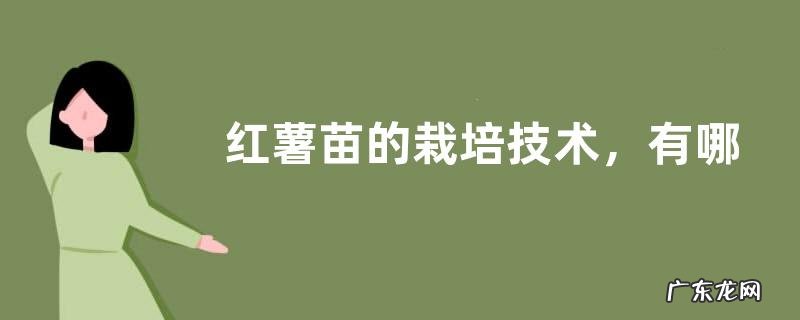 红薯苗的栽培技术，有哪些栽培价值