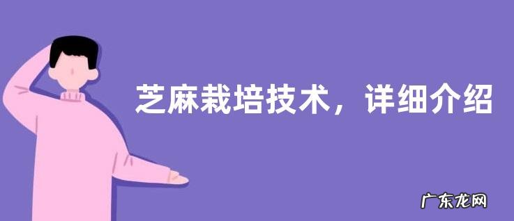 芝麻栽培技术，详细介绍