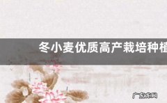 冬小麦优质高产栽培种植技术，主要有以下几点