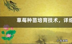 草莓种苗培育技术，详细介绍