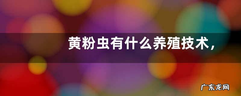 黄粉虫有什么养殖技术,详细如下