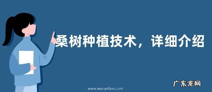 桑树种植技术，详细介绍