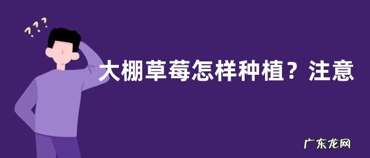 大棚草莓怎样种植?注意及时防治病虫害