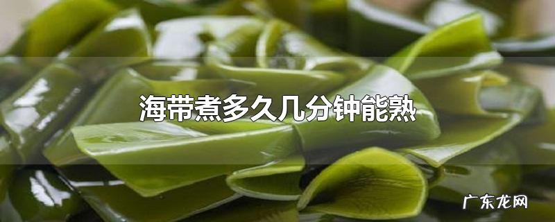 海带煮多久几分钟能熟