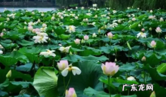 武汉夏天气温一般多少度