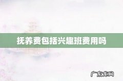 抚养费包括兴趣班费用吗