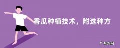 香瓜种植技术，附选种方法