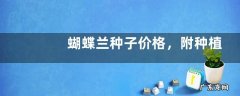 蝴蝶兰种子价格，附种植方法