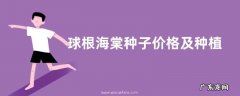 球根海棠种子价格及种植方法，附其播种方法