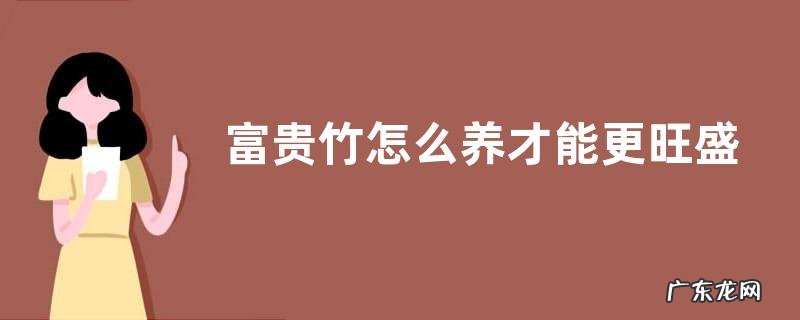 富贵竹怎么养才能更旺盛?附生长习性和繁殖方法