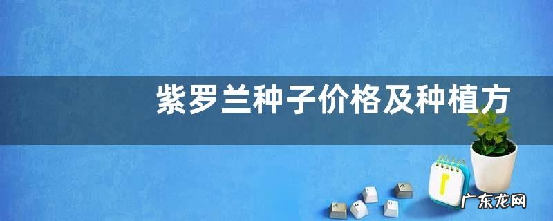 紫罗兰种子价格及种植方法,紫罗兰有哪些品种