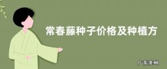 常春藤种子价格及种植方法，注意防止强光直射