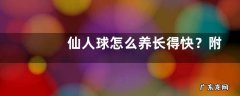 仙人球怎么养长得快？附繁殖方法