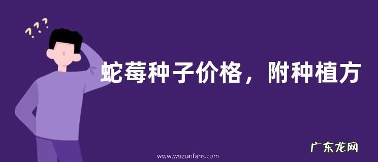 蛇莓种子价格,附种植方法