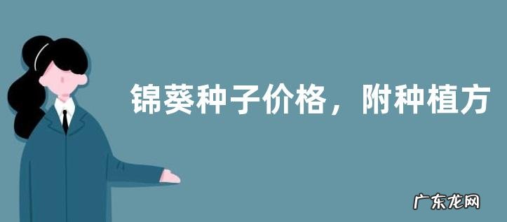 锦葵种子价格,附种植方法
