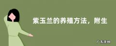 紫玉兰的养殖方法，附生长习性