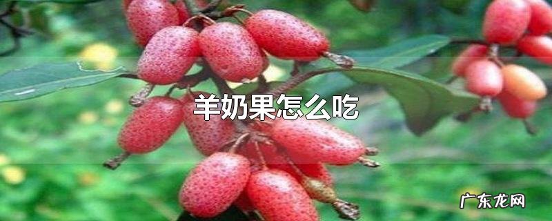 羊奶果怎么吃