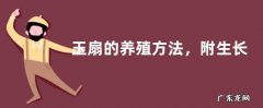 玉扇的养殖方法，附生长习性和繁殖方法